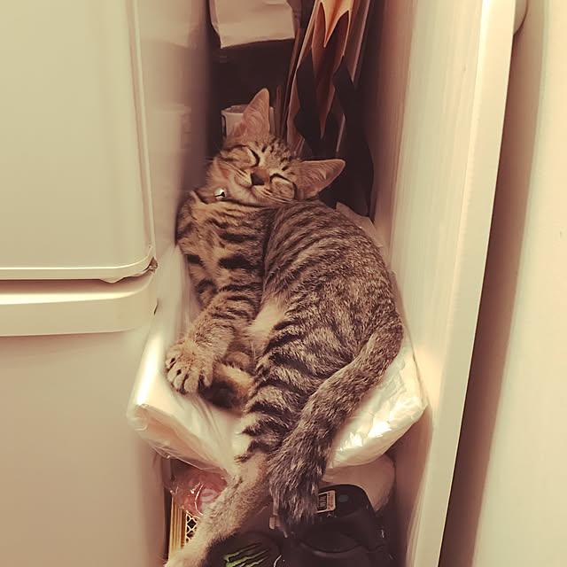 emikoさんの実例写真