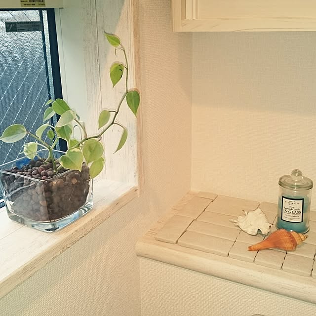tonchiさんの実例写真