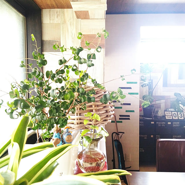 2933さんの実例写真