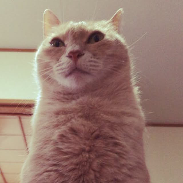 mikan161さんの実例写真