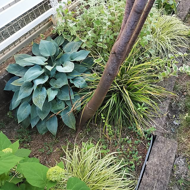 feuileさんの部屋