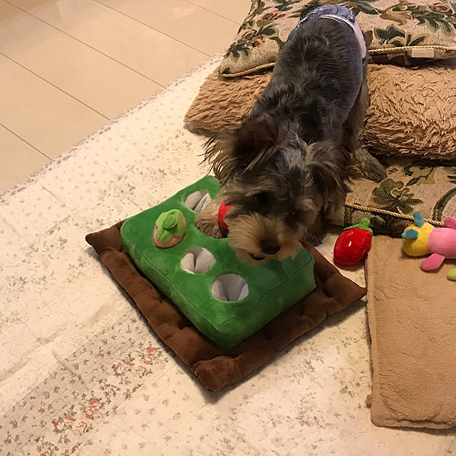 marikoさんの部屋