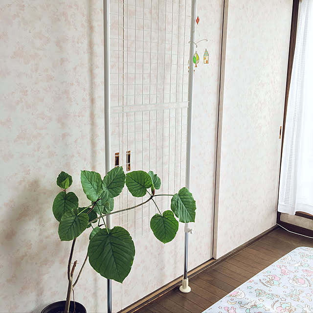 mintteaさんの実例写真