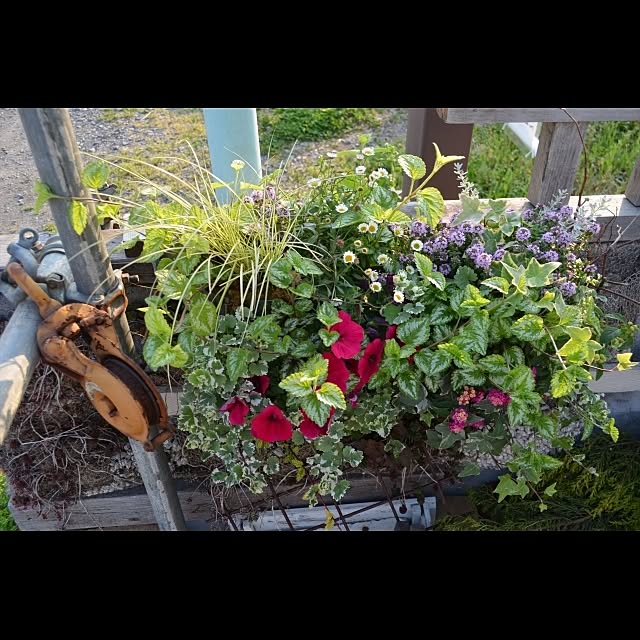 GreenWorksさんの実例写真