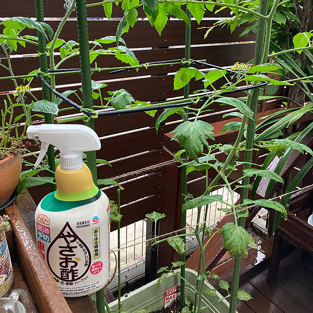 mamimamiさんの部屋
