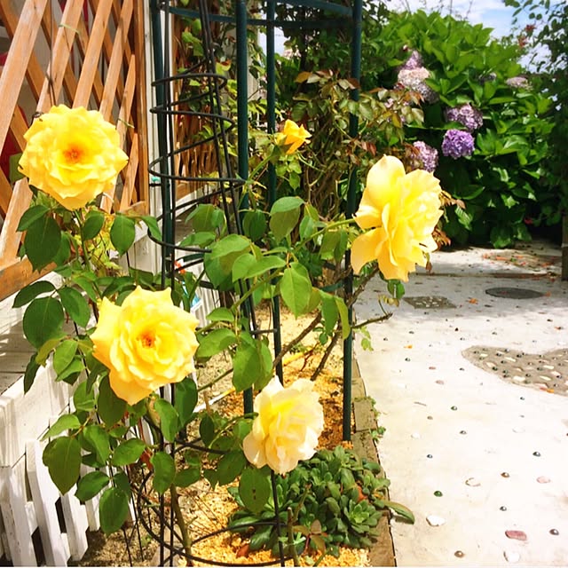 HappyRoseさんの実例写真