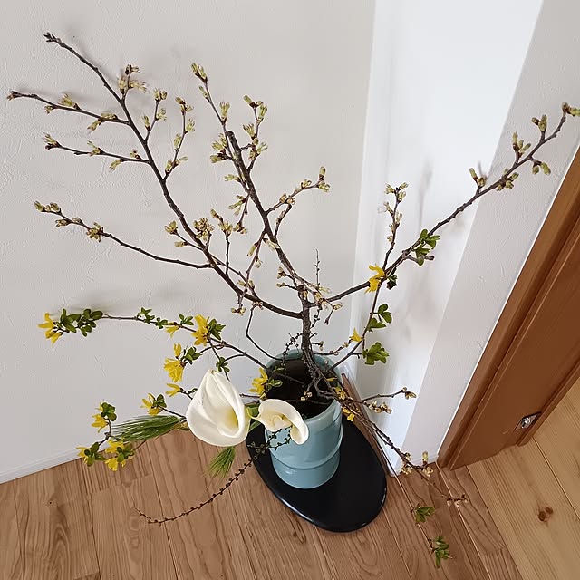 coco1204さんの部屋