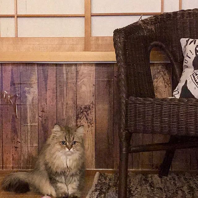 butachanさんの実例写真