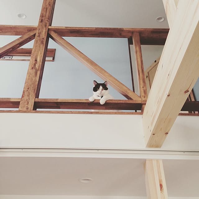 cattyさんの実例写真