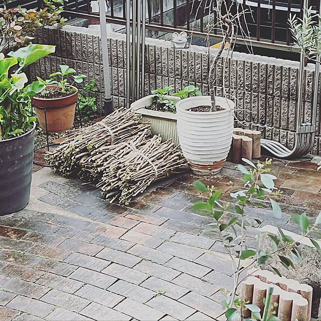 botanさんの実例写真