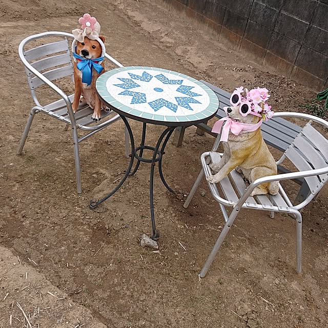 NOAHさんの部屋