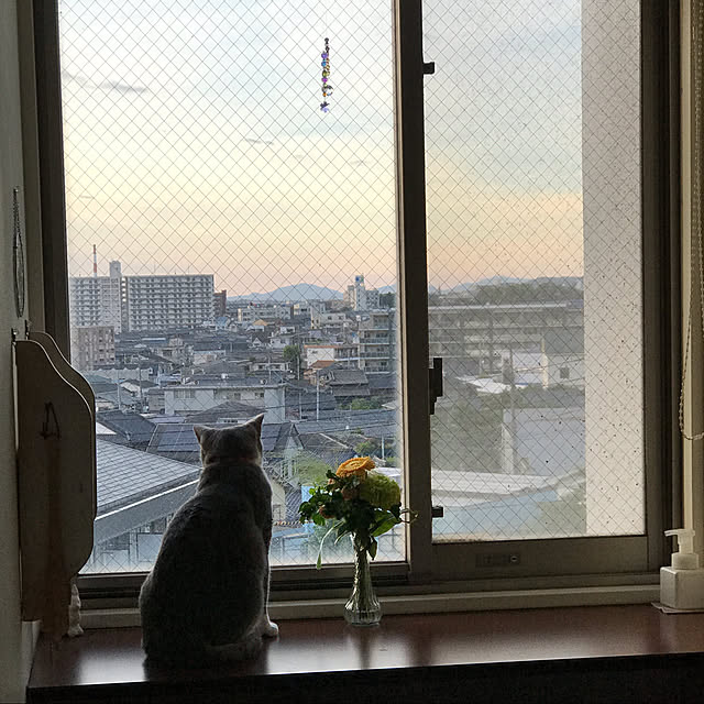 nao10-sawa14さんの実例写真