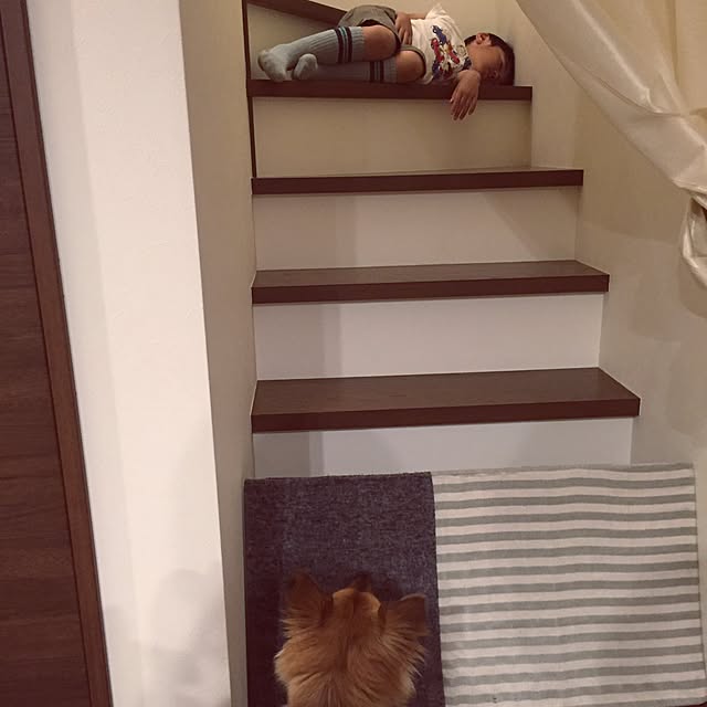 hikanaさんの実例写真