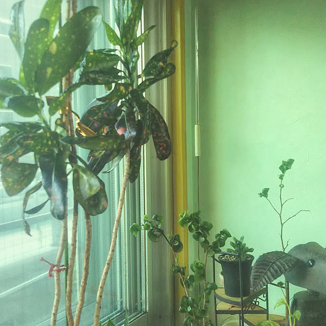 rainさんの実例写真