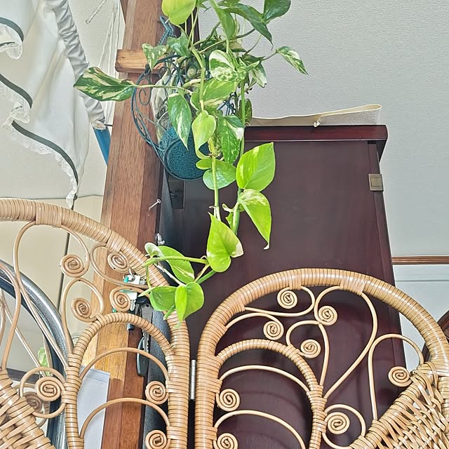 otibi.tt8787さんの部屋