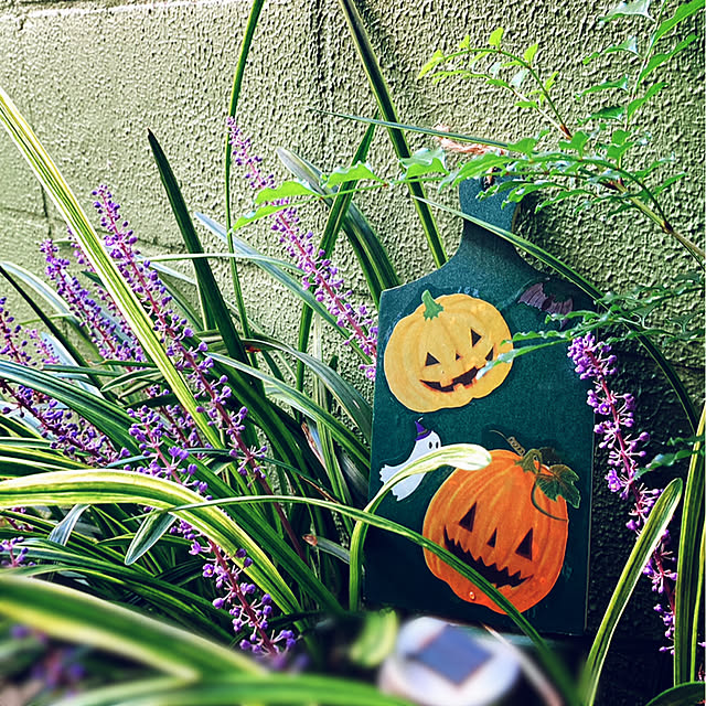 mommyさんの実例写真
