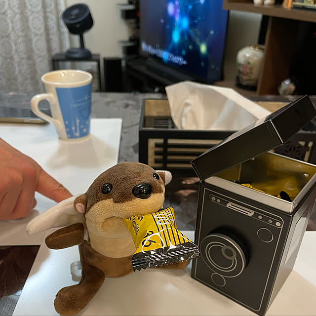 aureaさんの実例写真