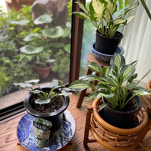 buchiさんの部屋