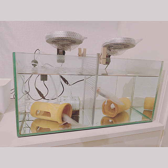 wakannaさんの実例写真