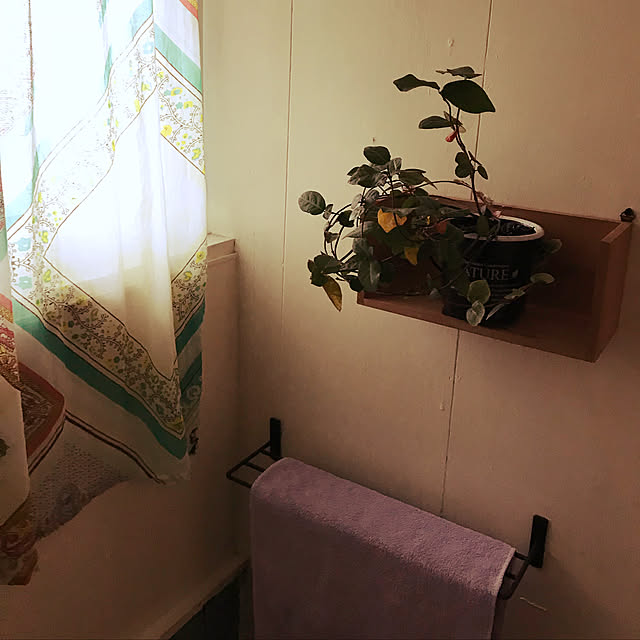 mikan161さんの実例写真
