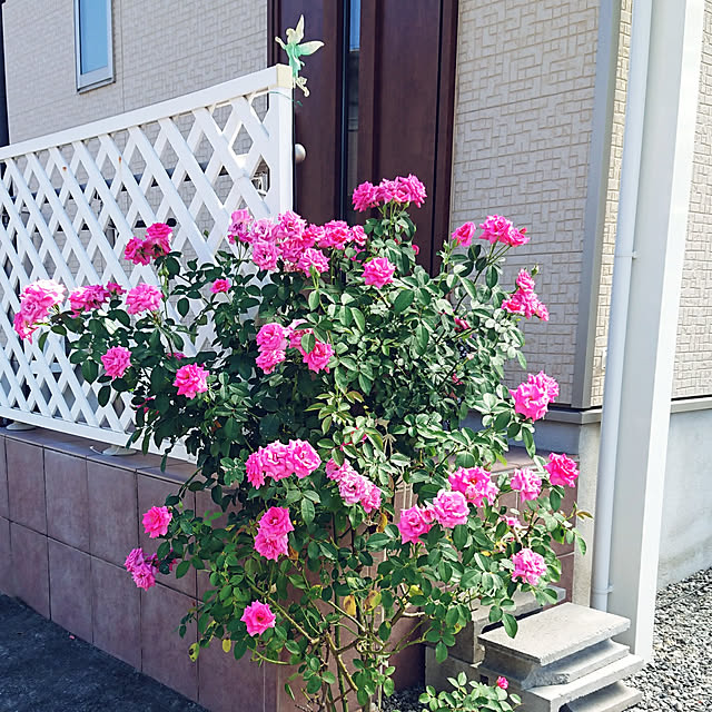 Bienvenueさんの実例写真