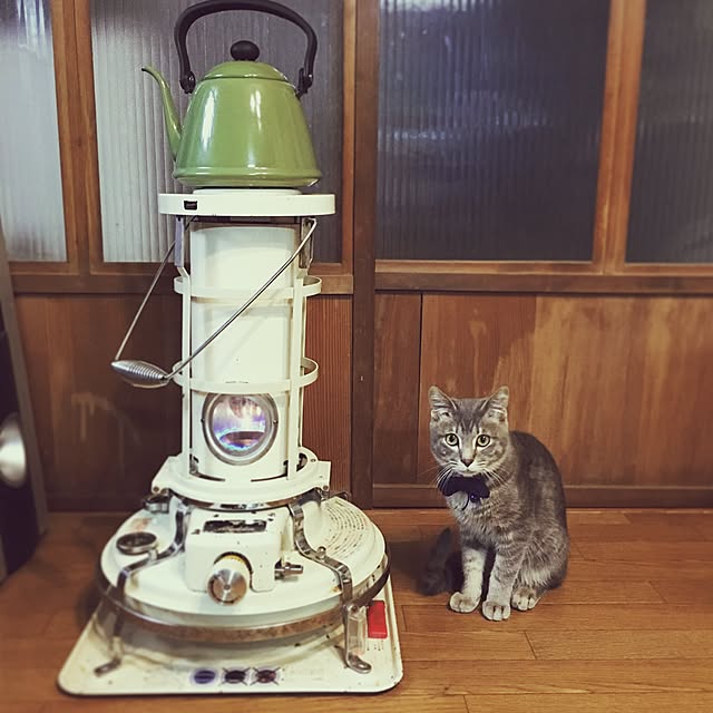 sa-yaさんの実例写真