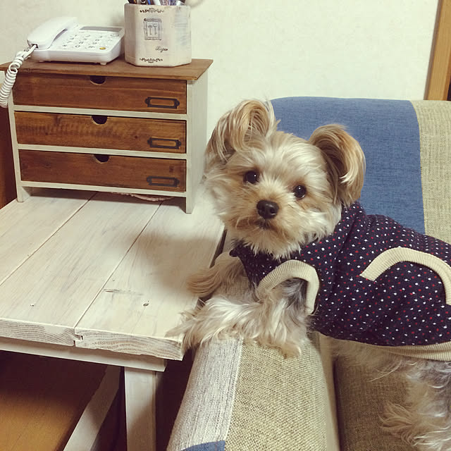 marcheさんの実例写真