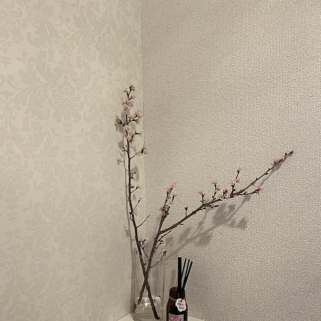 mii_home_39さんの実例写真