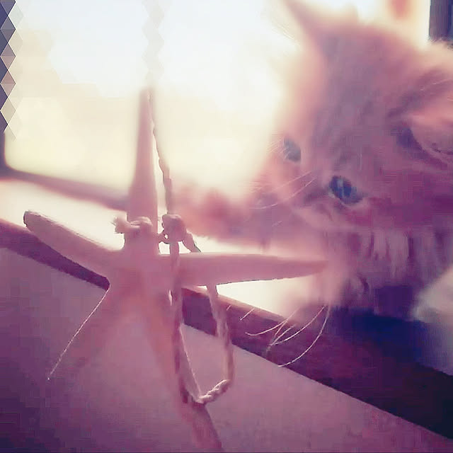 HULAさんの実例写真