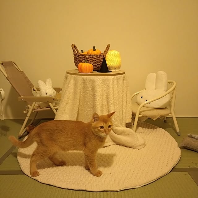 mayutan.さんの部屋