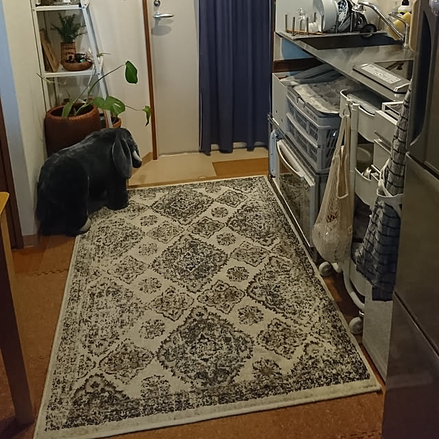 noripopさんの実例写真
