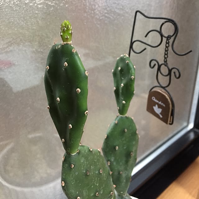 CoffeeHouseさんの実例写真