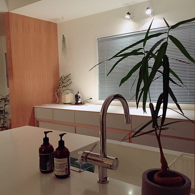 yu3koさんの実例写真