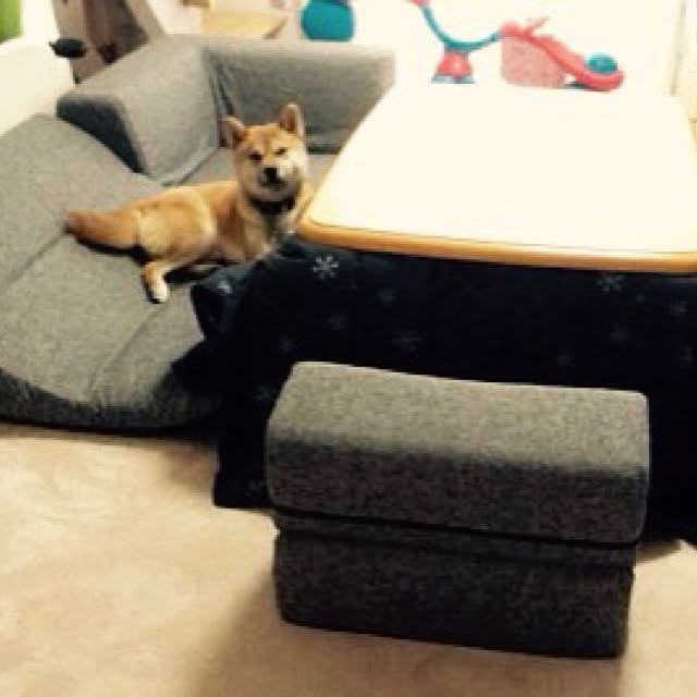 kotaさんの実例写真