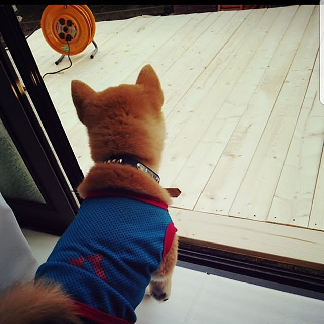 MMRS1201さんの実例写真