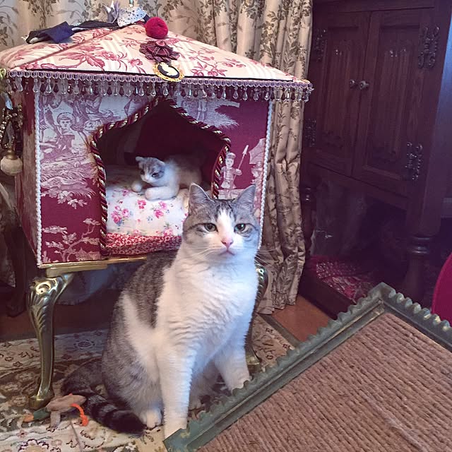 emmyyさんの実例写真