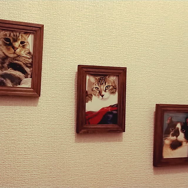 nnk.akさんの実例写真