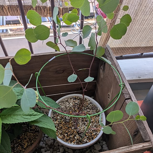mi-saさんの部屋