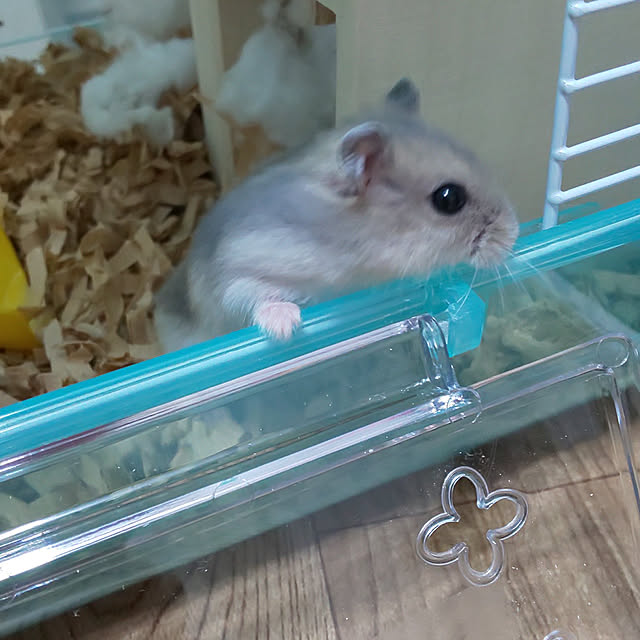 mieさんの実例写真
