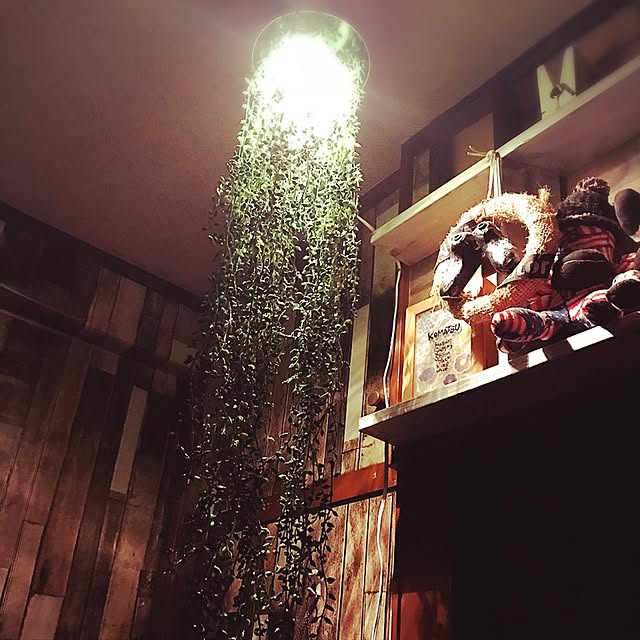 NIKOPANDAさんの実例写真