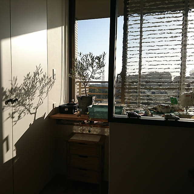 Rさんの実例写真