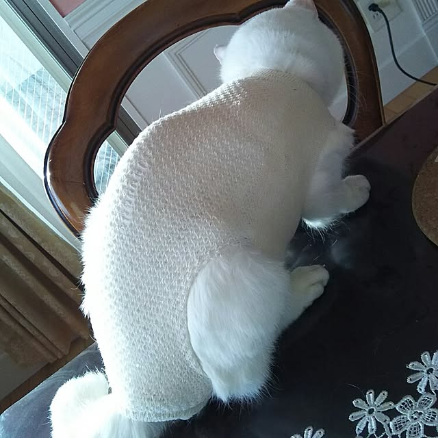 sakuraさんの実例写真