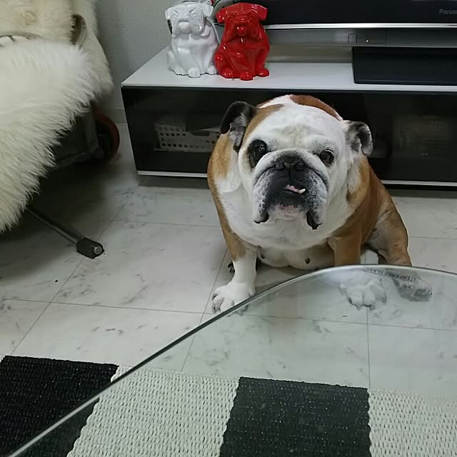 AandPさんの実例写真