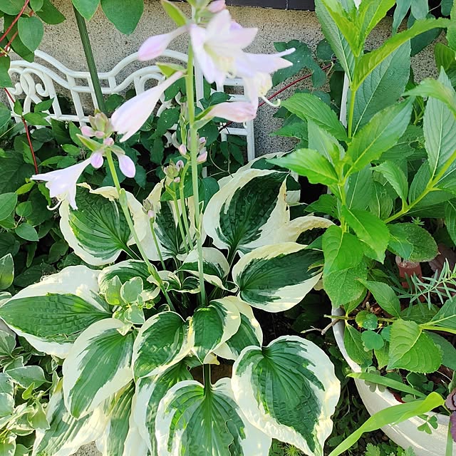 kiraさんの部屋