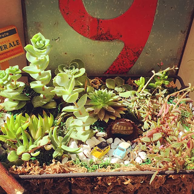 M365.GARDENさんの実例写真