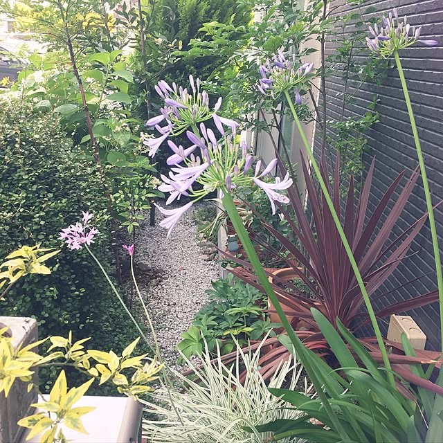 kirinさんの実例写真