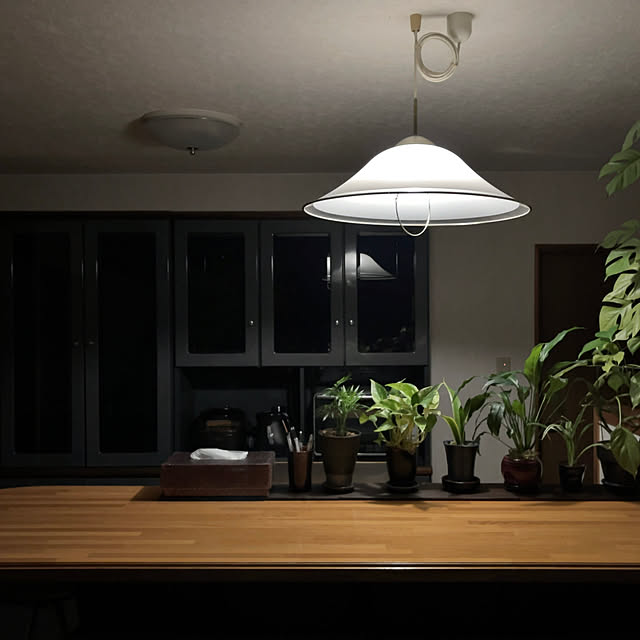 chisukeさんの実例写真