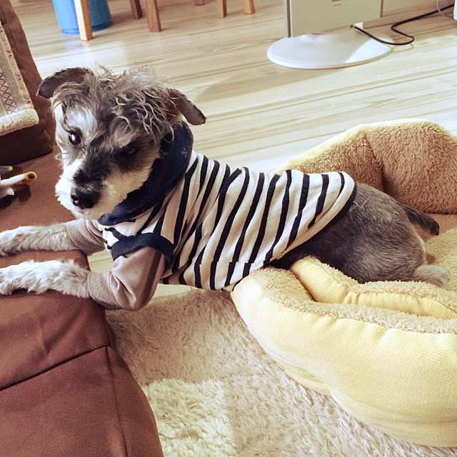 cosaさんの実例写真