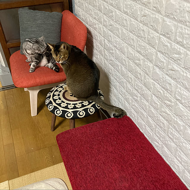 zabonzabonさんの実例写真