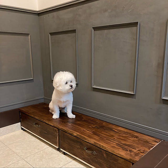 NIPPERさんの実例写真